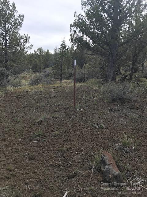 Riverside Ranch - Land