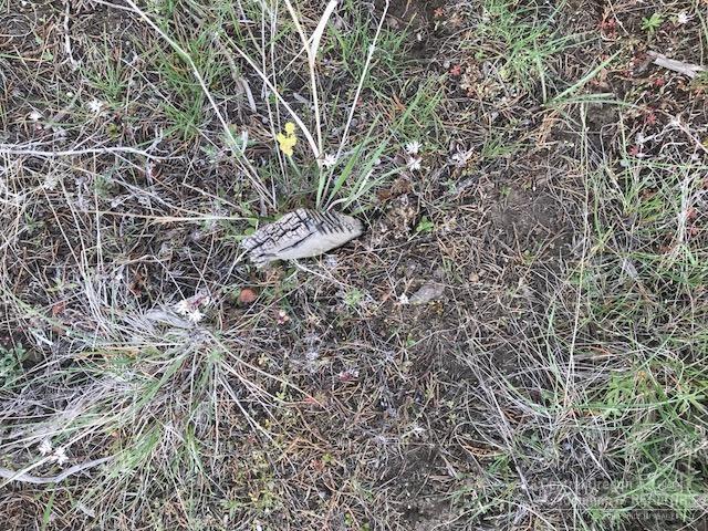 Riverside Ranch - Land