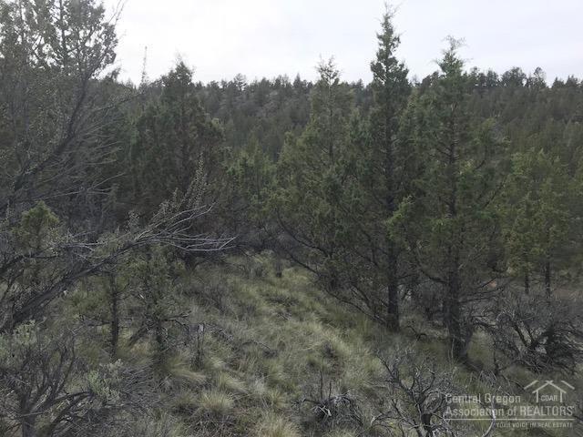 Riverside Ranch - Land