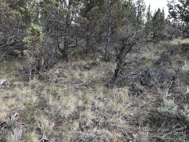 Riverside Ranch - Land