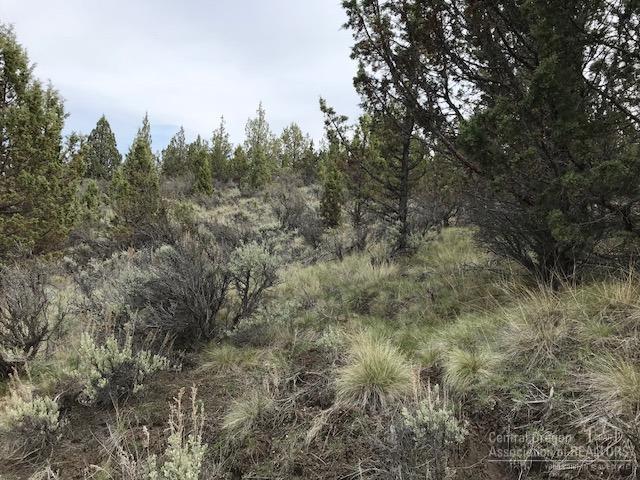 Riverside Ranch - Land