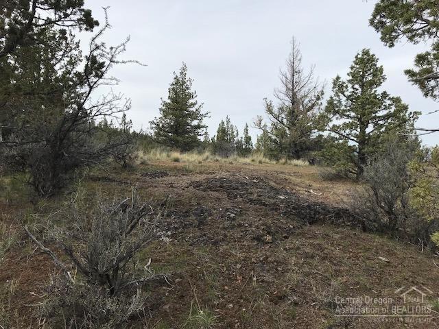 Riverside Ranch - Land