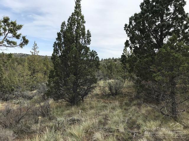 Riverside Ranch - Land