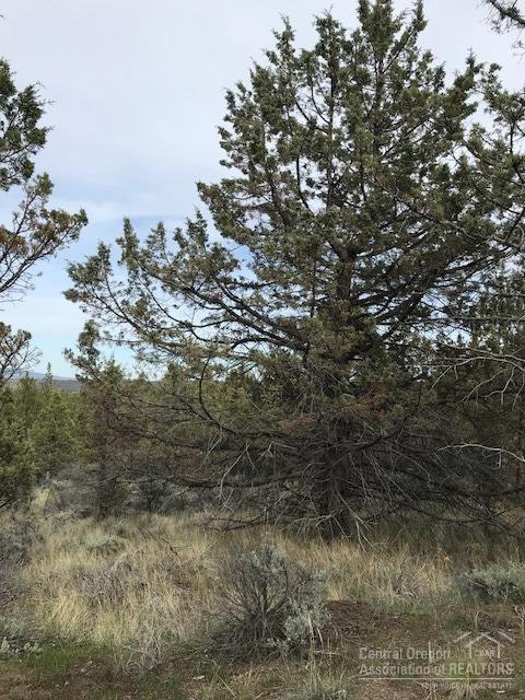 Riverside Ranch - Land