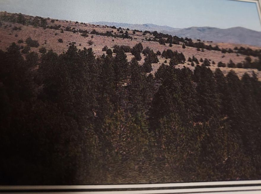 Nice property that is very private and adjoins BLM.  Lots of elk