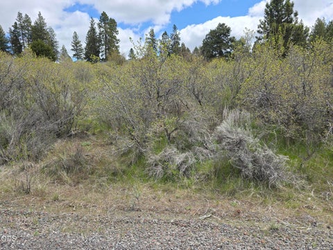 Tiny photo for Margi Way, Chiloquin, OR 97624 (MLS # 220225793)