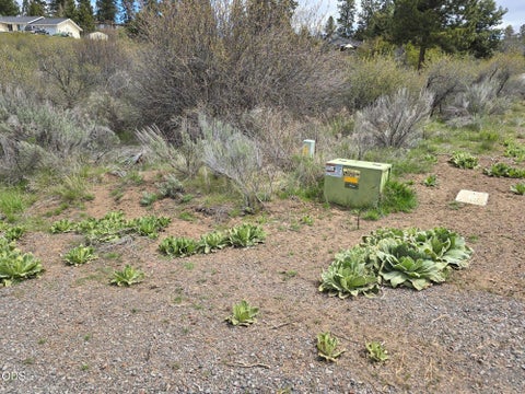 Tiny photo for Margi Way, Chiloquin, OR 97624 (MLS # 220225793)
