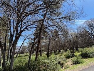 Running YResort - Land