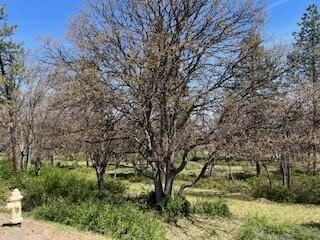 Running YResort - Land