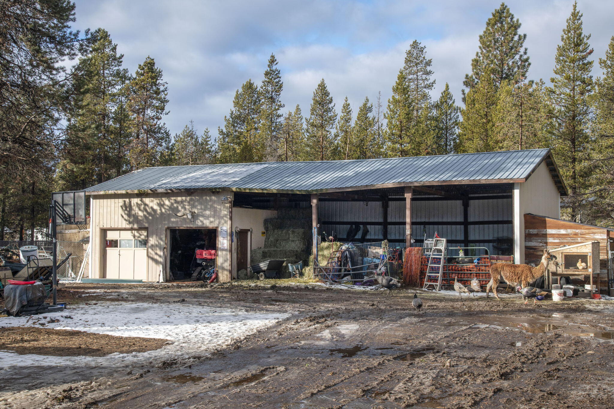 Lazy River South - Residential