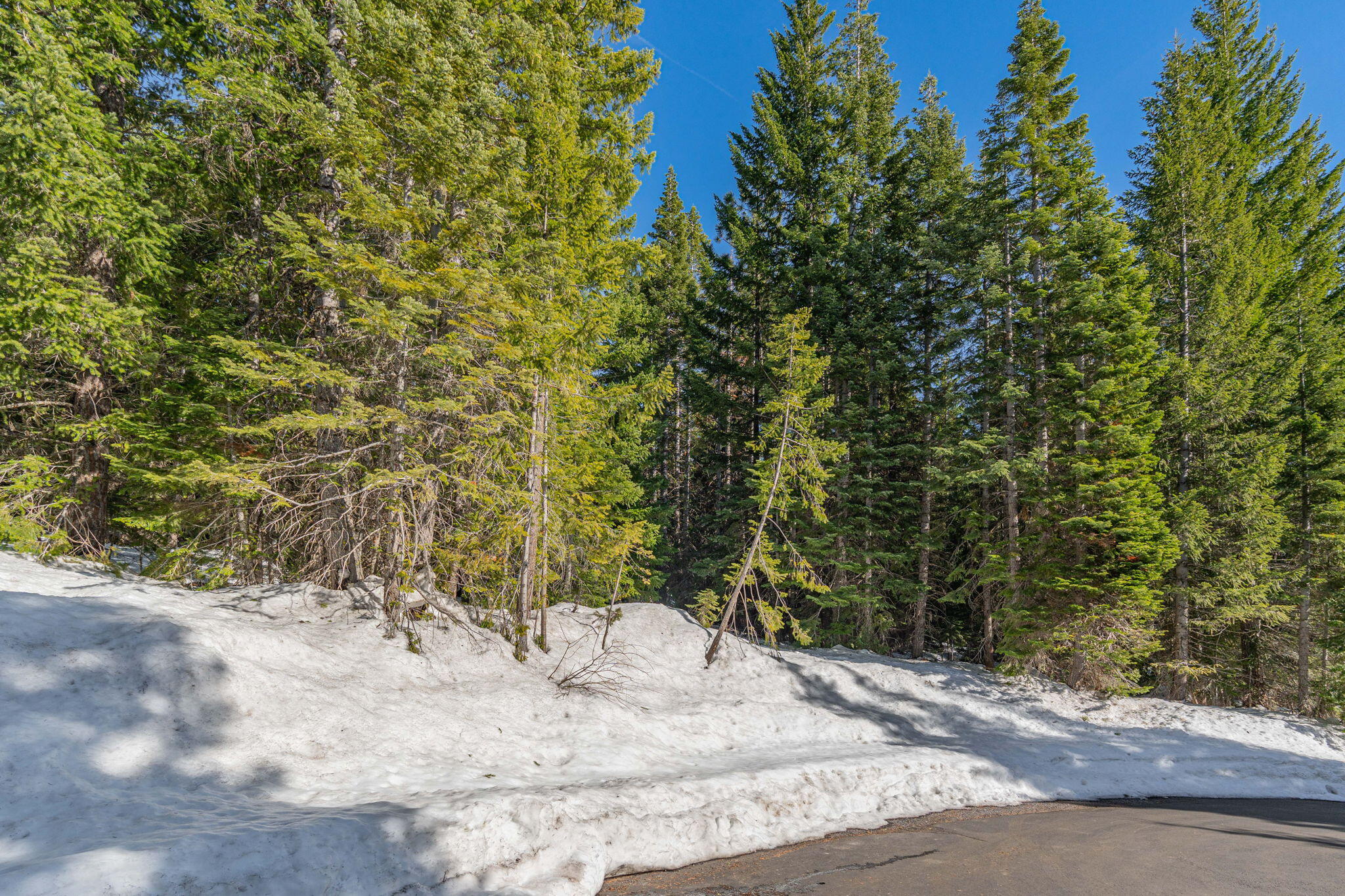 Diamond Peaks - Land