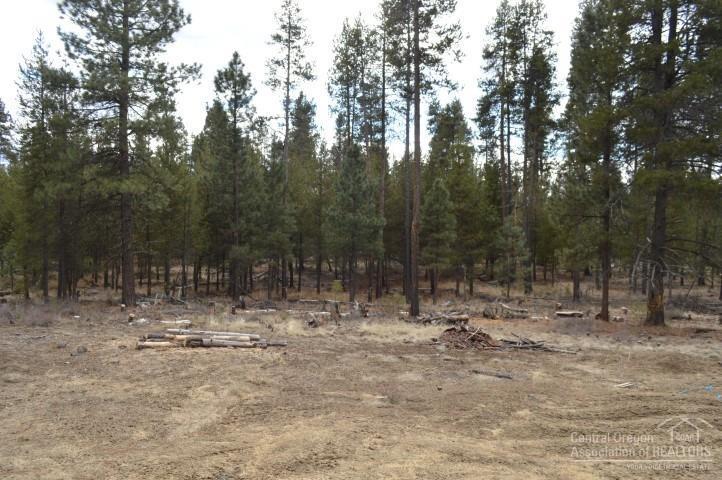 Ponderosa Pines East - Residential