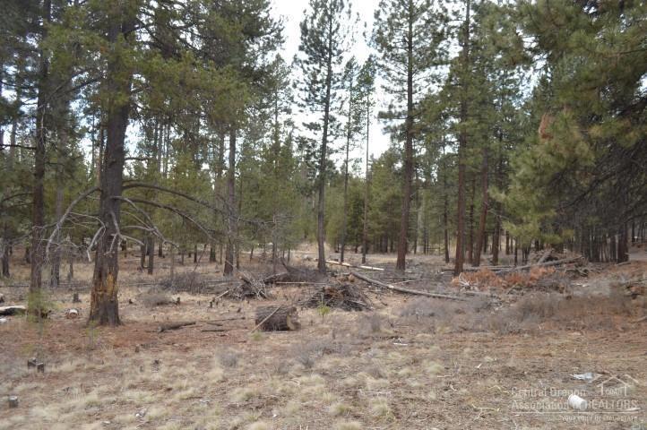 Ponderosa Pines East - Residential