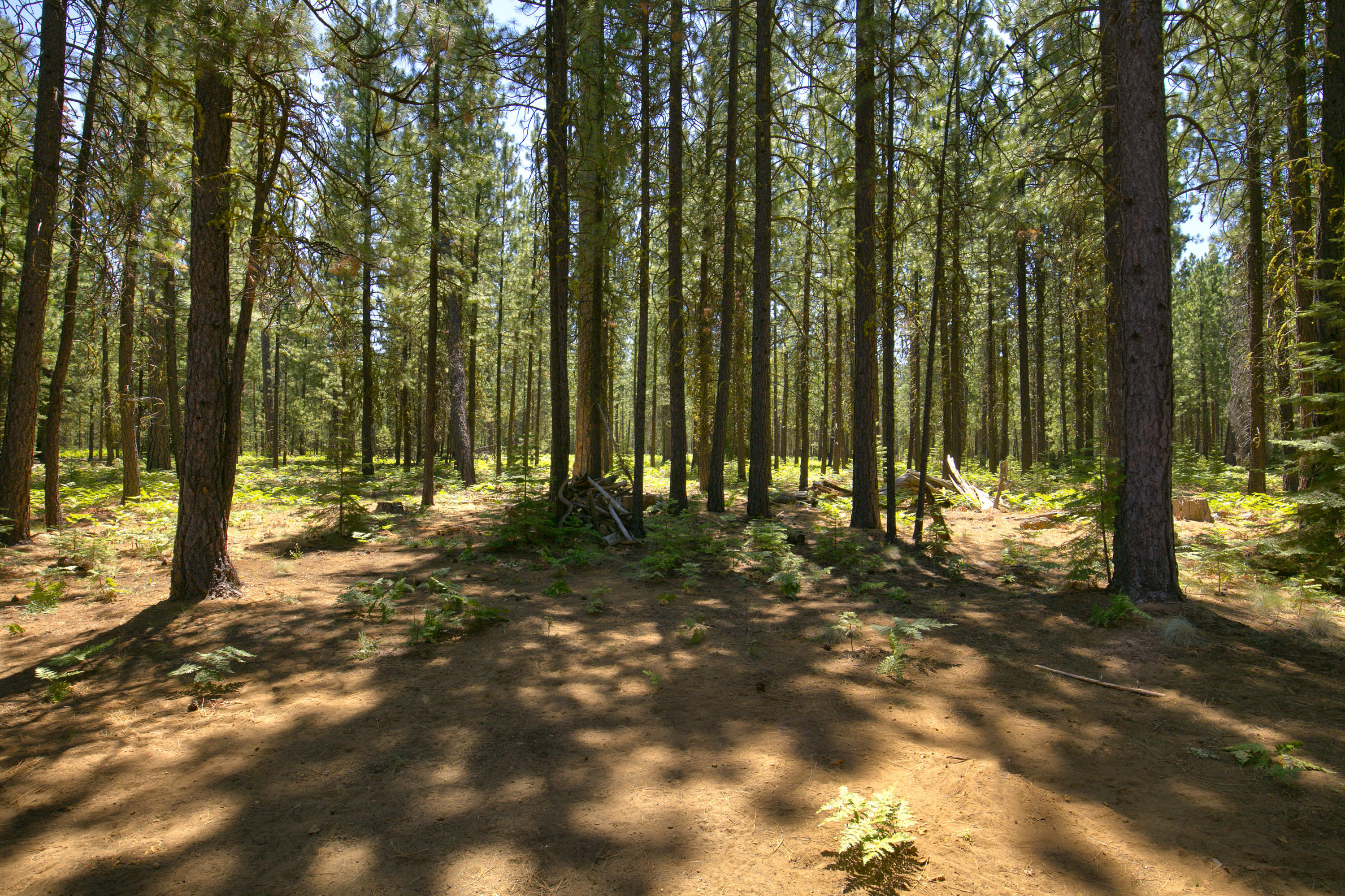 Black Butte Ranch - Residential