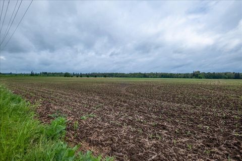 Tiny photo for 0 S Fawver Road, Canby, OR 97013 (MLS # 220221749)