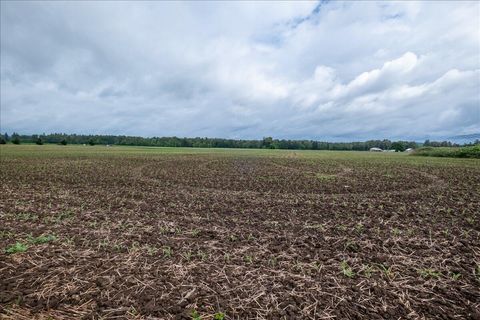 Tiny photo for 0 S Fawver Road, Canby, OR 97013 (MLS # 220221749)