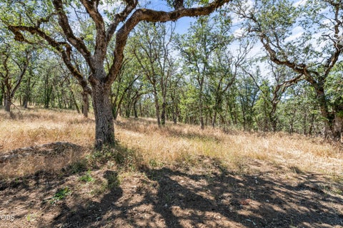 Tiny photo for 8320 Blackwell Road, Central Point, OR 97502 (MLS # 220223238)