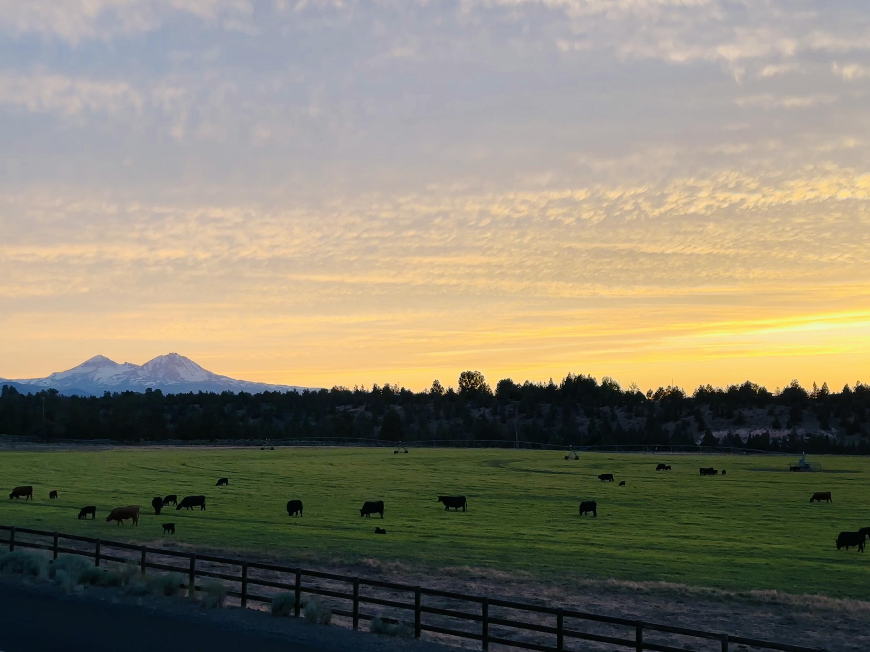 Deschutes River Ranc - Residential