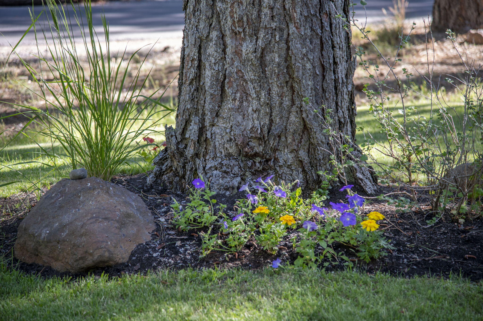 Black Butte Ranch - Residential