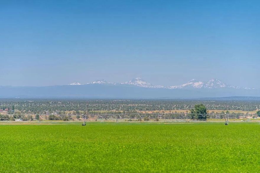 This 309.78 acres hay farm and priceless homesite is located in one of the most beautiful community in Central Oregon. Powell Butte is one of those locations that just tears at your heart strings. The views from this west slopping farm ground are unmatched. You can see from Mtn. Bachelor in the south to Mtn. Jefferson to the north. You will honestly think you can reach out and touch BrokenTop and the Three Sisters of the Cascade Range. 
There is already a homesite planned out and approved. With 2 complete septic systems installed. Use for servicing a living area in the barn and the main home. Both water (Avion Water Provider) and power (Central Oregon Co-Op) are at the home site. You will also find 168.3 irrigated acres under 3 center pivots water is supplied by COID (Central Oregon Irrigation District).  
Please contact the listing broker to set a showing appointment.
Shown by APPOINTMENT ONLY.