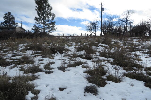 Oregon Shores - Land