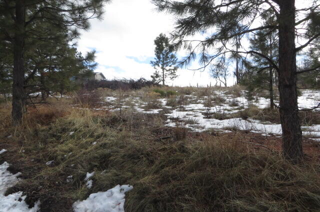 Oregon Shores - Land