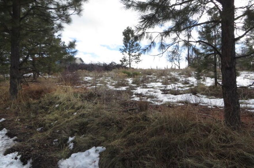 Block 4, lot 15 on Shoreview Drive in Oregon Shores I subdivision.  .25 of an acre lot at yesteryear's great price of $6500.00.  Owners in OSI have use of the OSI lake front community lot for fishing, launching a boat or just enjoying the water.