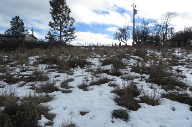 Oregon Shores - Land