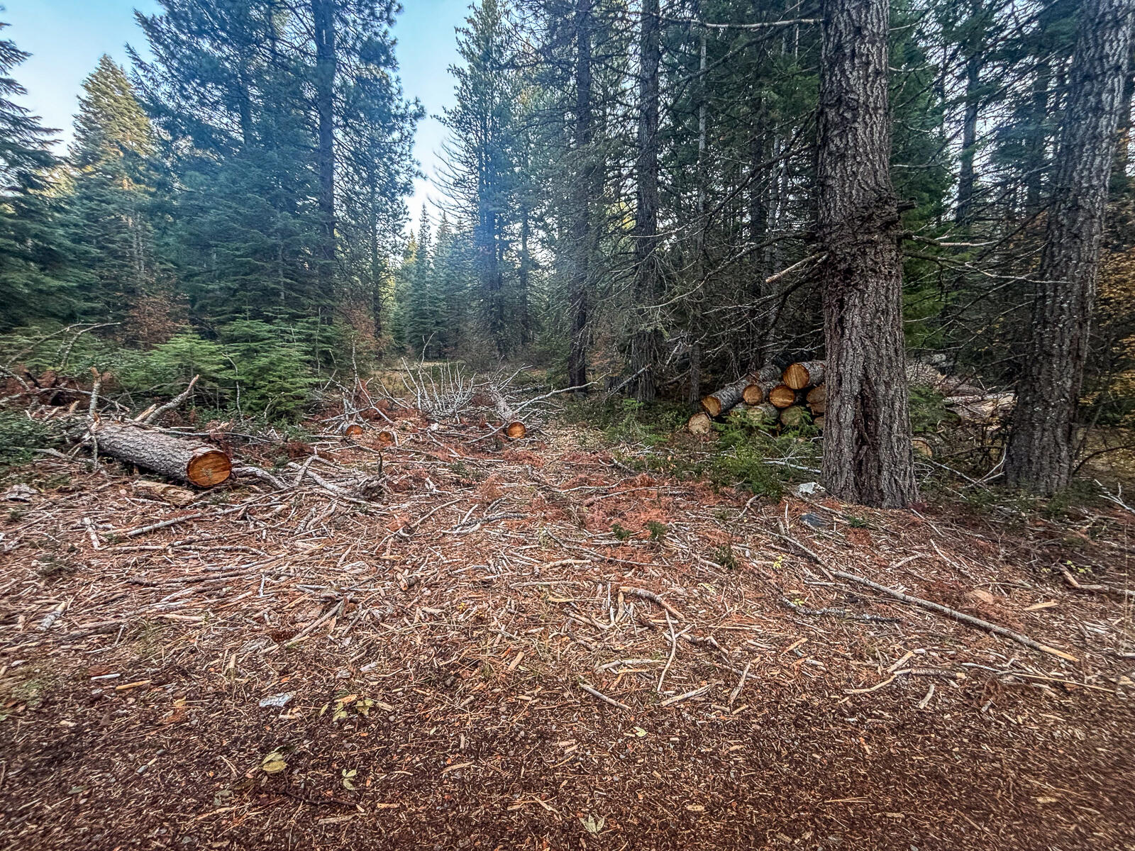 Arrowhead Village - Land