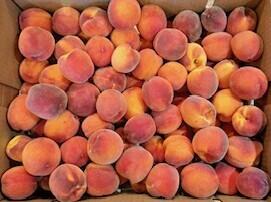 Skycrest Hills Phase 2 - Residential