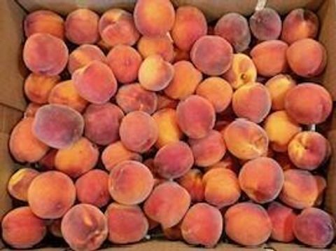 Tiny photo for 4604 Cloudcrest Drive, Medford, OR 97504 (MLS # 220211657)