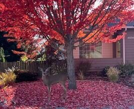 Skycrest Hills Phase 2 - Residential