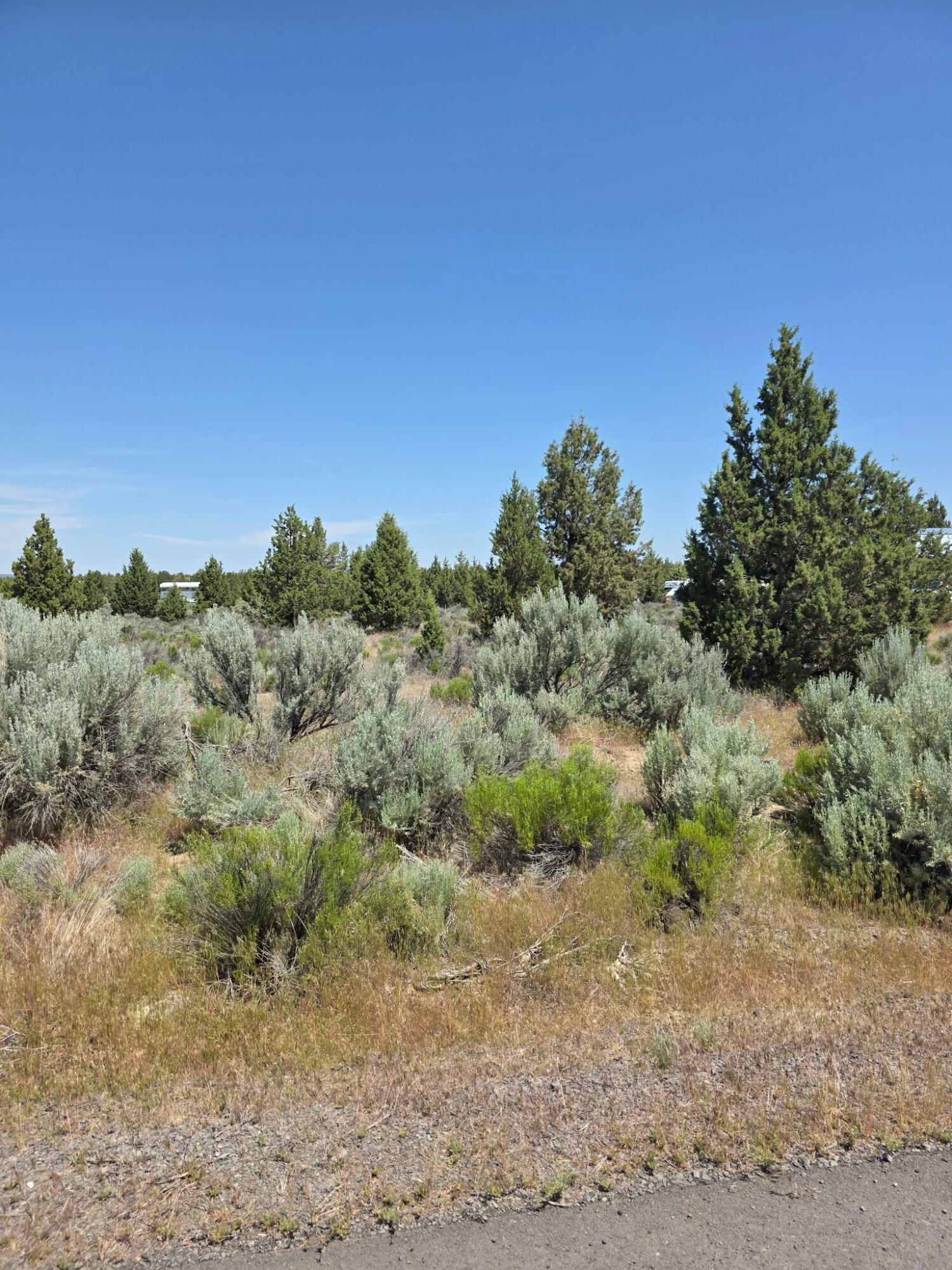 Prineville Lake Acres 2 - Land