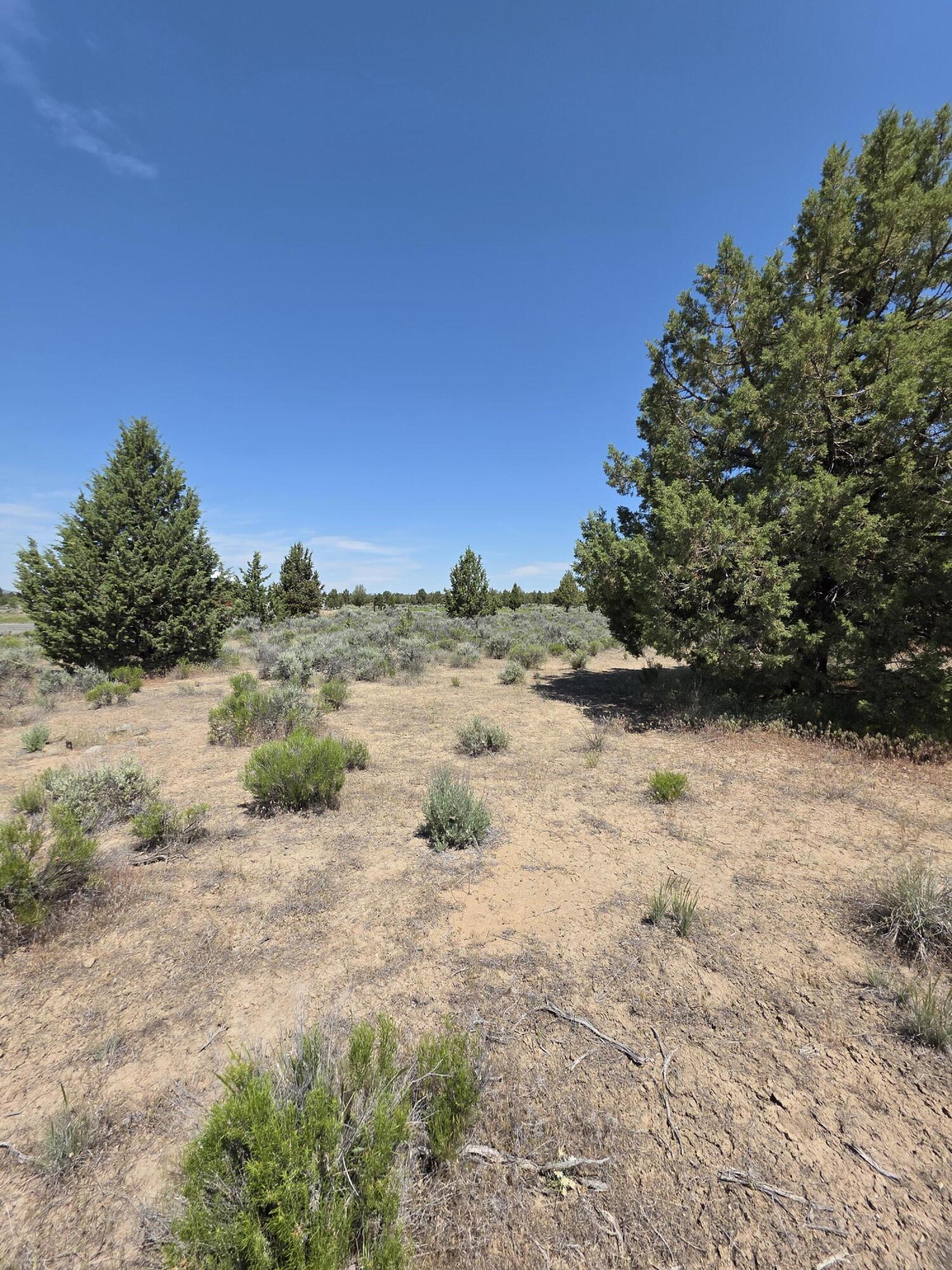 Prineville Lake Acres 2 - Land