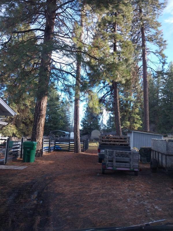 Klamath River Acres -Fifth Addition - Residential