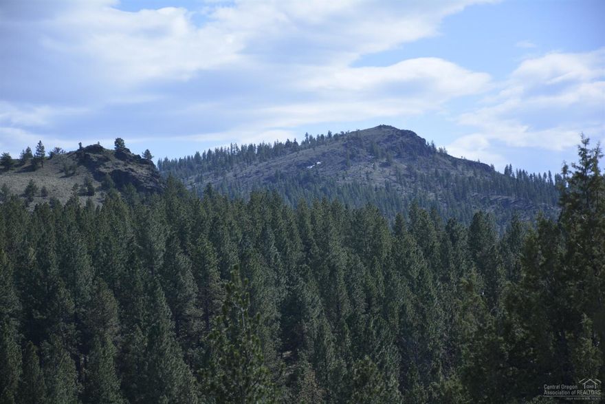 Outstanding Timber growing site, Big Game hunting. excellant access. One party listing.