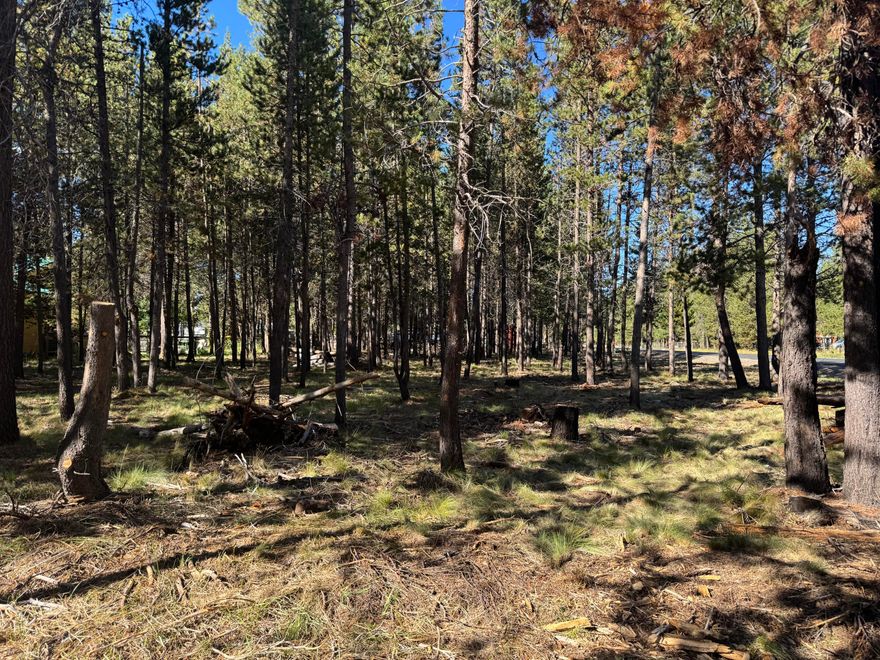 .49 acre lot in OWW2. Corner lot with paved road access. Recently fire-mitigated, this property offers a clean, well-maintained space ready for your vision. Great location with easy access and excellent curb appeal.