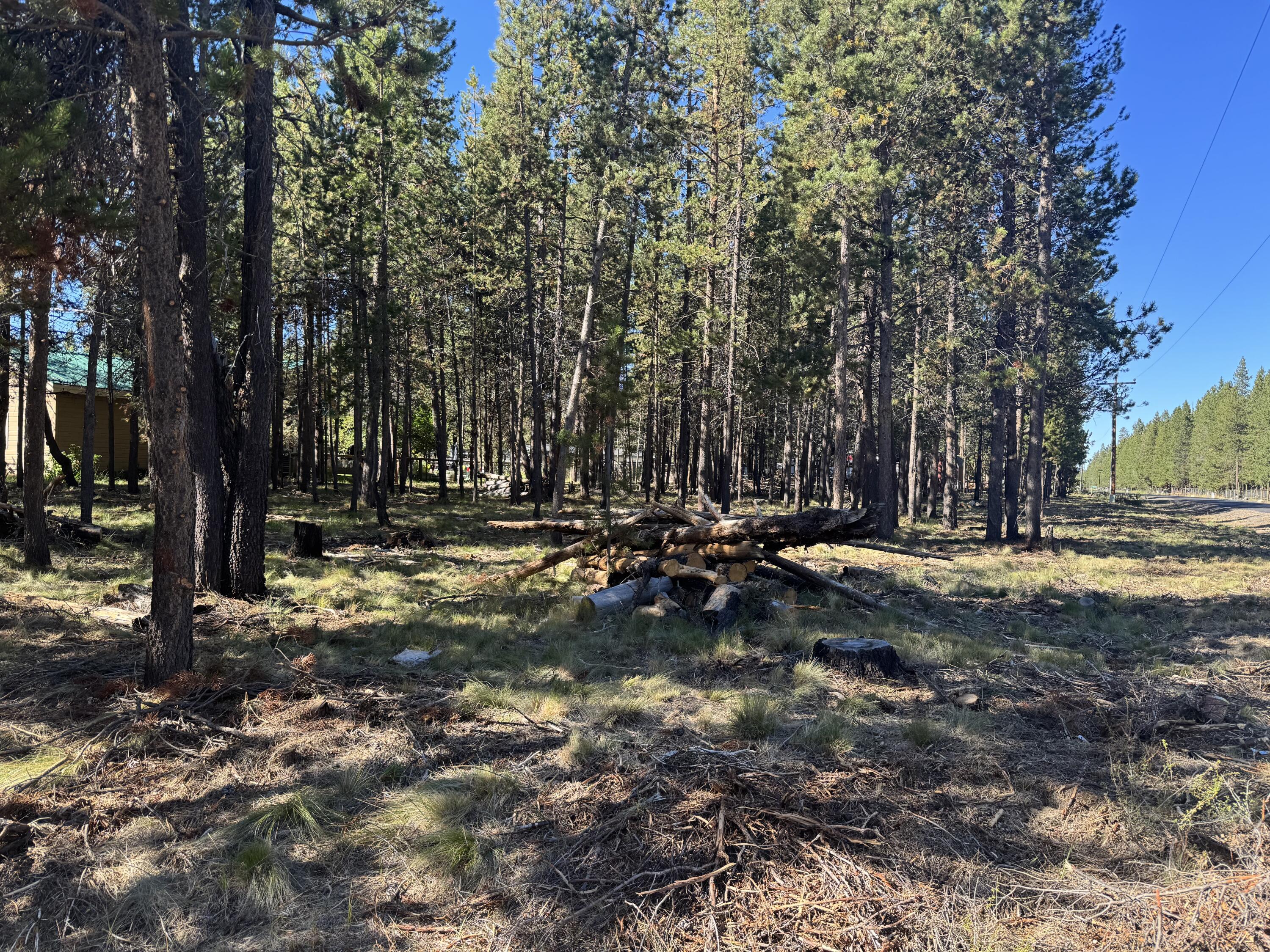 17498 Snow Goose Road