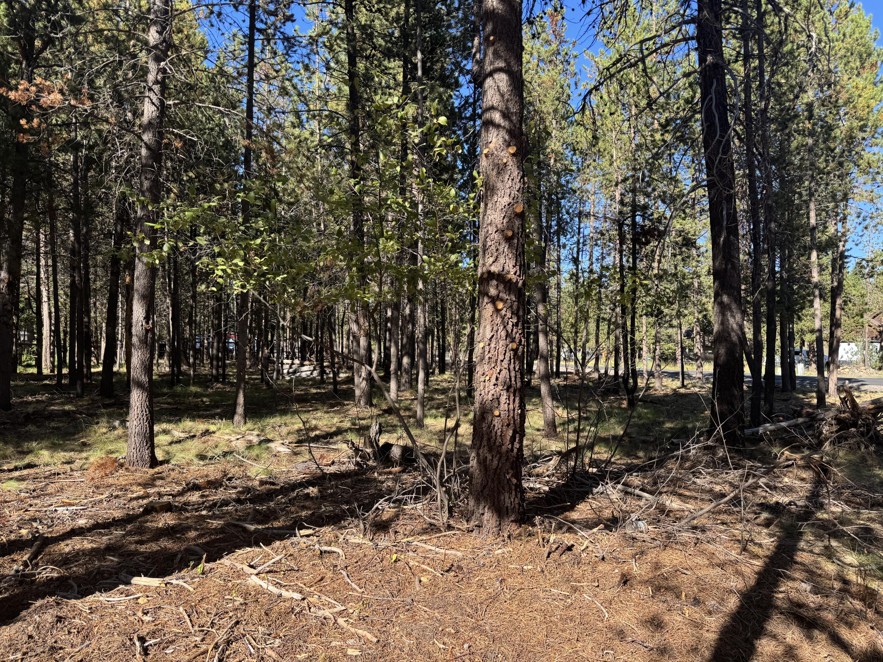 17498 Snow Goose Road