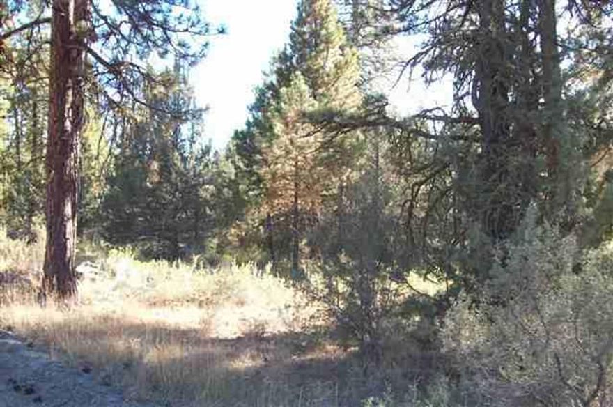 Two Parcel In The Pines Totaling 4.12 Acres. Power At Road.