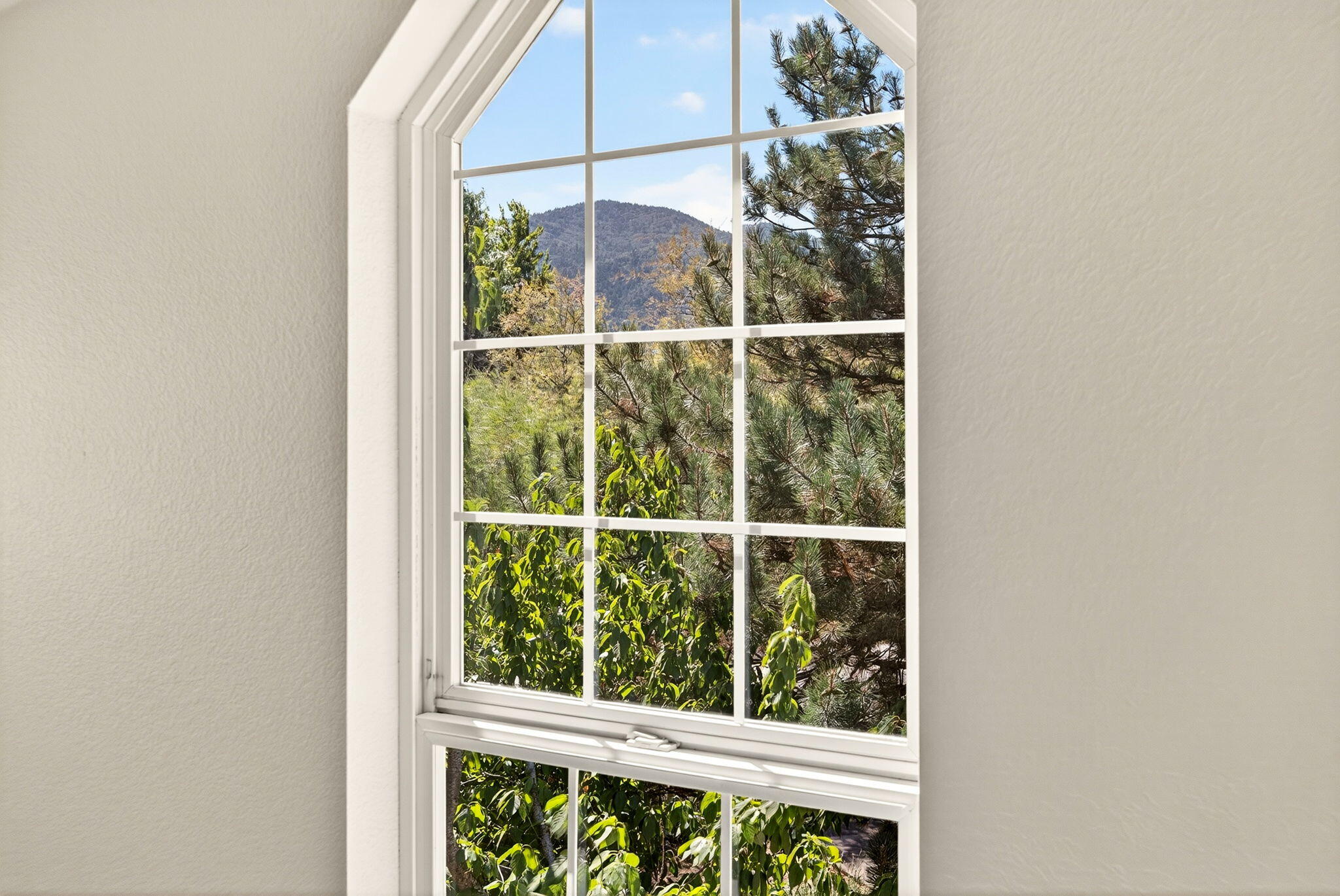 Thomas Subdivision - Residential