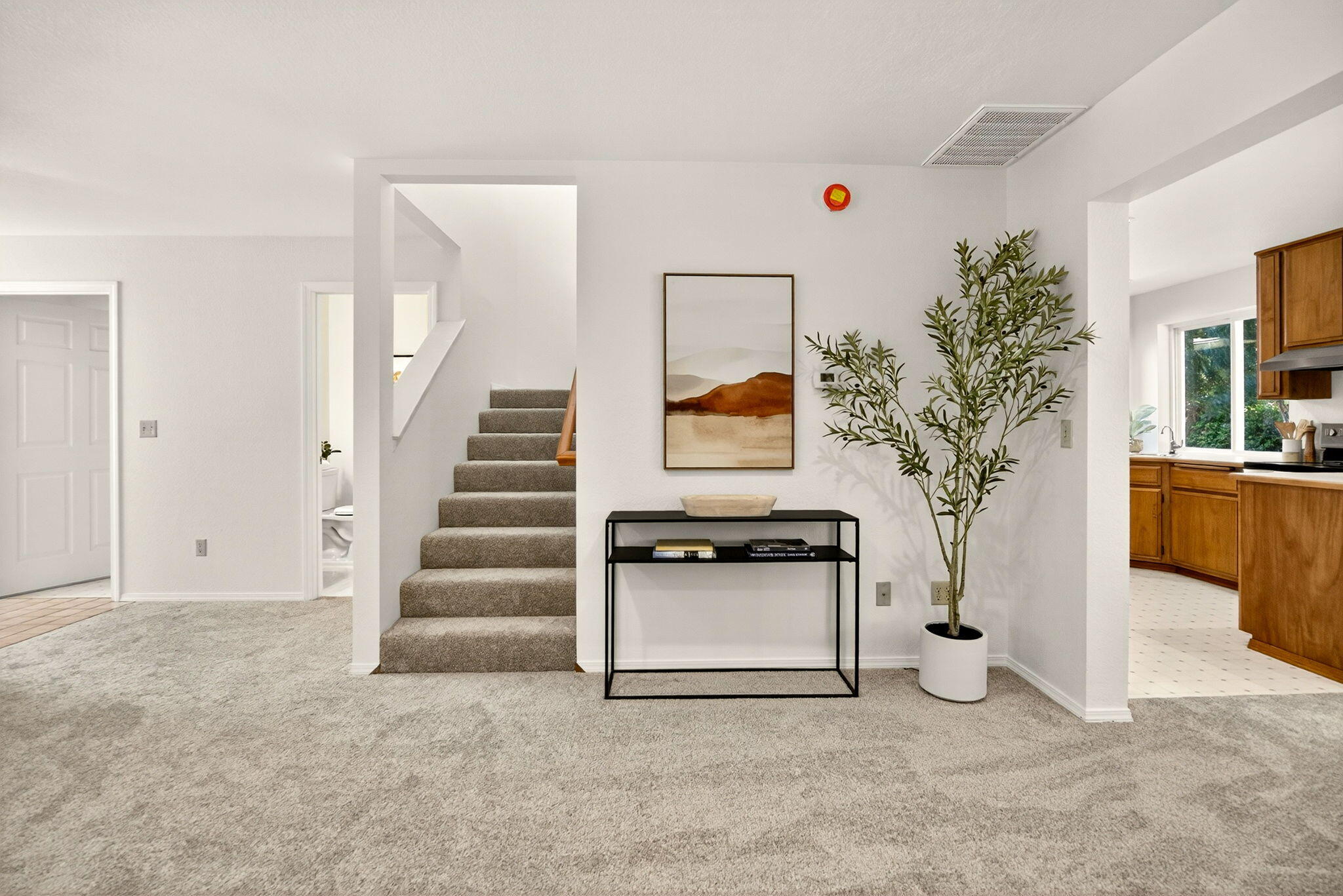 Thomas Subdivision - Residential