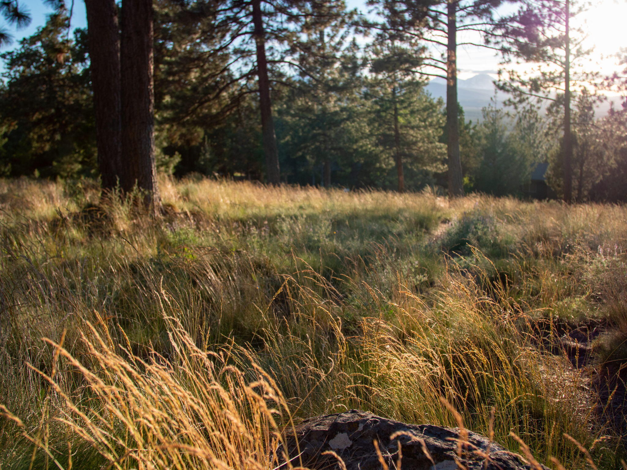 Awbrey Butte - Residential