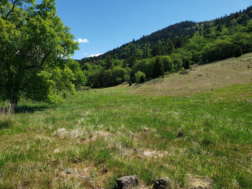 Sold Only. Gorgeous potential EFU homesite 10 minutes to Ashland! Beautiful level creekside pasture with some irrigation potential with 1885 water rights from Ice House Creek per Water Rights Surveyor. Access to shared 50 gpm well piped and power conduit to property line.