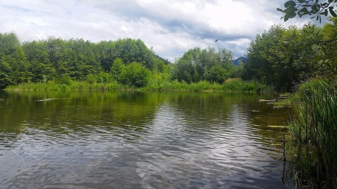 Anastasia Court P.U.D. - Land