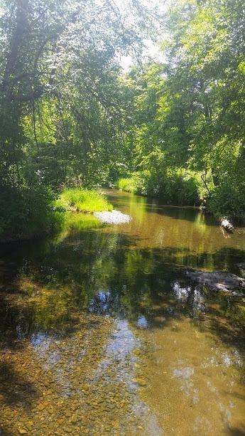 Anastasia Court P.U.D. - Land