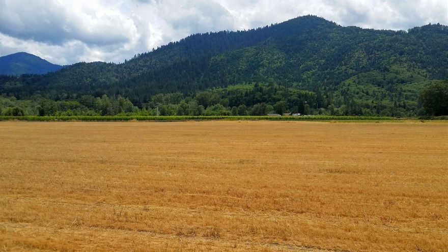 The search is over! This Wilderville, OR vineyard truly has it all. With over 126 total acres, this unique property has more to offer than any currently on the market today. The 30 acre vineyard consisting mostly of Pinot Noir was planted from 2009-2013 and is impeccable in performance and beauty. The property also has 30+/- acres to plant more grapes or the crop of your choice (currently in hay production). The water rights from the Applegate River date back to 1899! The vineyard is 100% deer fenced and orchard fans for frost protection. The second parcel to this amazing property is the 48 acre private Water Park. With nearly 1.5 miles of Applegate River frontage, this park is a fisherman's and water fowl lover's dream! You must truly experience this one of a kind property to get it's full effect. Only 8 short miles to downtown Grants Pass, the Wilderville vineyard is the escape you've been waiting for! Call today for a personal tour.