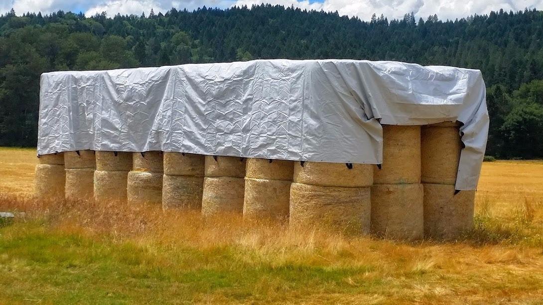 Anastasia Court P.U.D. - Land