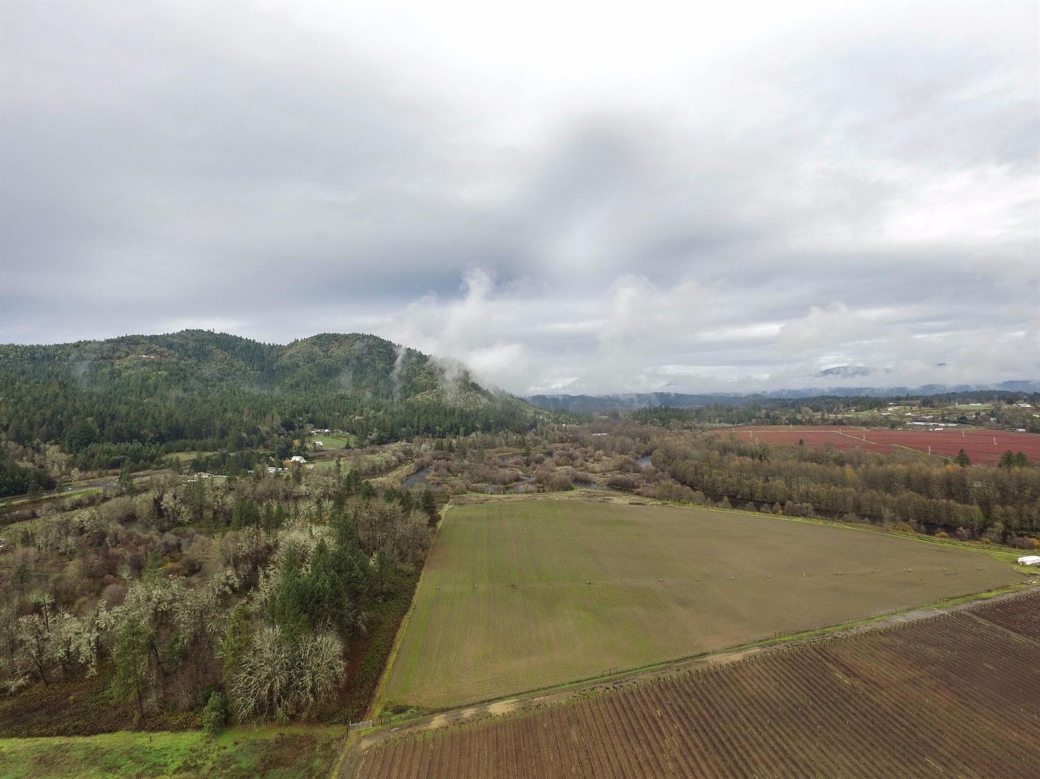 Anastasia Court P.U.D. - Land