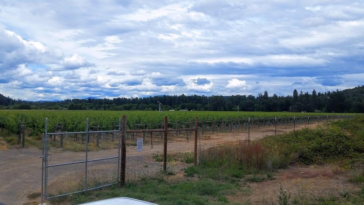 Anastasia Court P.U.D. - Land